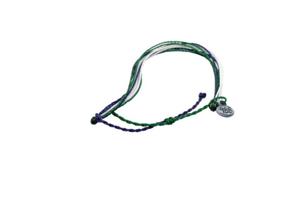 A stethoscope is shown in this picture.